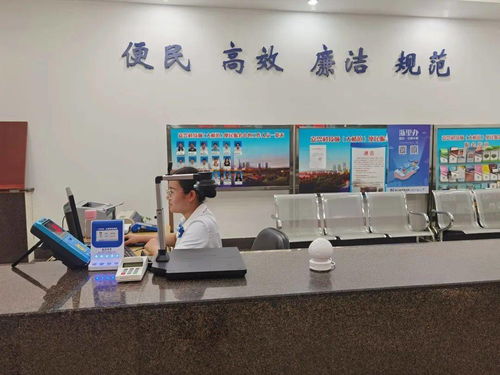 嘉興科技城大橋鎮(zhèn)便民服務(wù)中心啟用“一窗受理、全域通辦”公用事業(yè)服務(wù)窗口